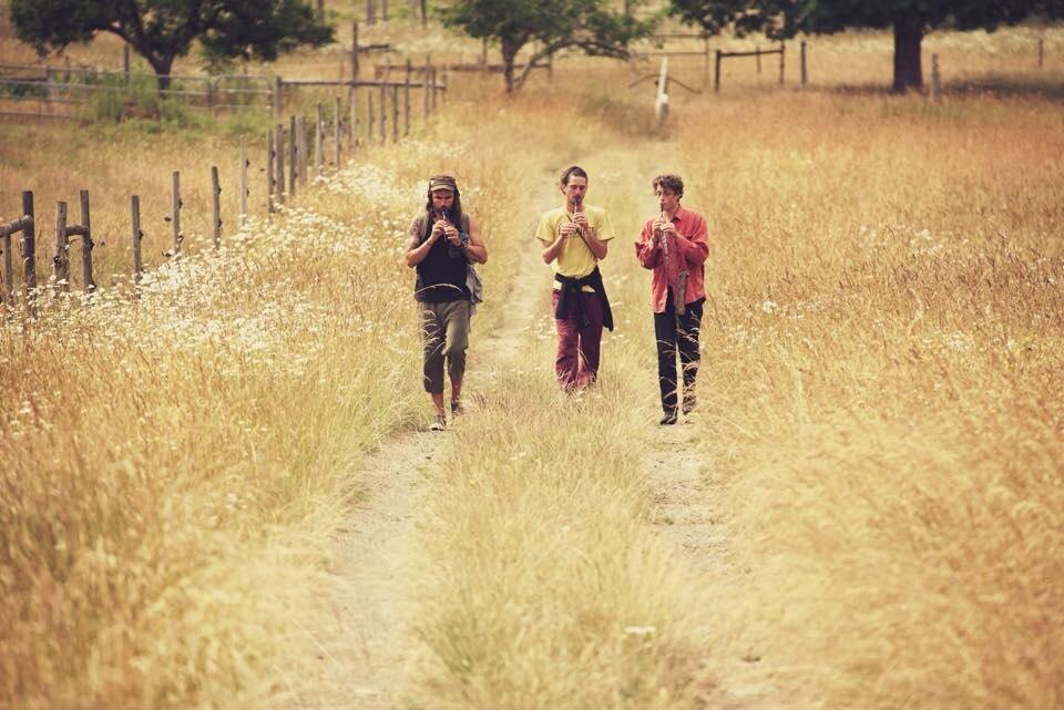 Three musicians walking a country road playing flutes